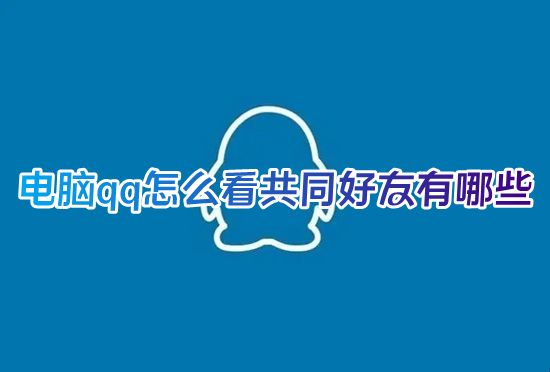 电脑qq怎么看共同好友有哪些 qq怎样查俩人的共同好友具体是谁