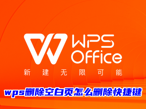 wps删除空白页怎么删除快捷键 wps末尾空白页死活删不掉怎么办