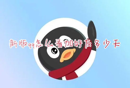 新版qq怎么看加好友多少天 qq怎么看加好友时间