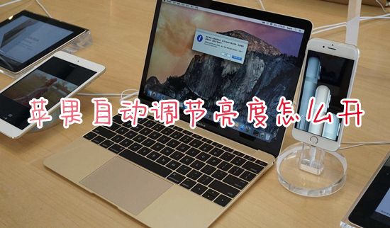 苹果自动调节亮度怎么开 mac电脑怎么调节屏幕亮度