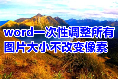 word一次性调整所有图片大小不改变像素 word怎么调节图片尺寸