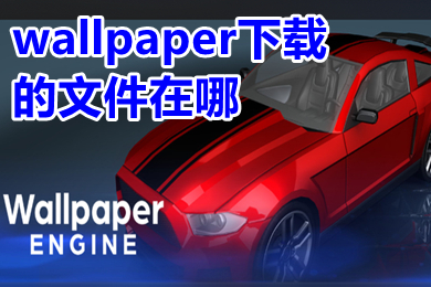 wallpaper下载的文件在哪 小红车wallpaper视频保存在哪