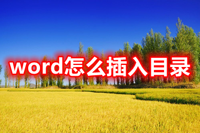word怎么插入目录 word如何做目录页