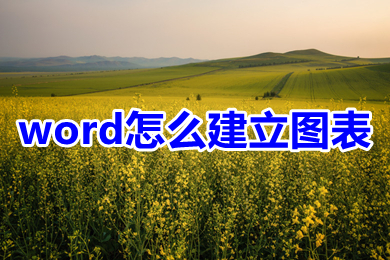 word怎么建立图表 word图表怎么制作