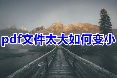 pdf文件太大如何变小 pdf文件变小的简单方法