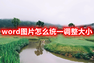 word图片怎么统一调整大小 word怎么一次改所有图片