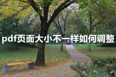 pdf页面大小不一样如何调整 pdf页面大小不一样怎么解决