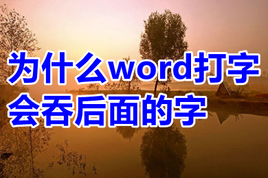 word表格中文字怎么上下居中 word表格中文字居中怎么弄正中间