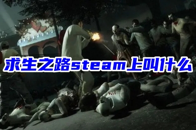 求生之路steam上叫什么 在steam上下载求生之路的方法教程