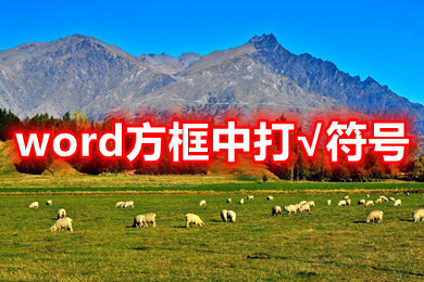 word方框中打&radic;符号 word方框&radic;怎么打