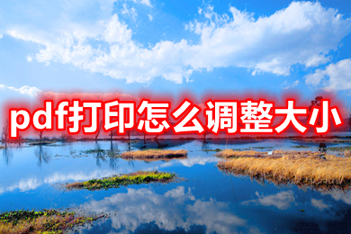 pdf打印怎么调整大小 pdf如何缩小打印比例