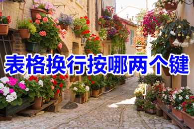 表格换行按哪两个键 表格换行快捷键ctrl+什么