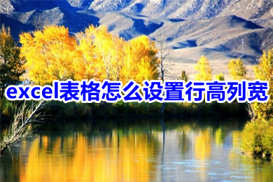 excel表格怎么设置行高列宽 excel在哪里设置行高列宽