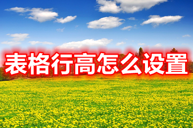 表格行高怎么设置 表格行高怎么调整