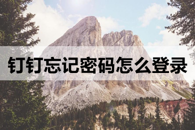 钉钉忘记密码怎么登录 钉钉原密码忘了怎么办