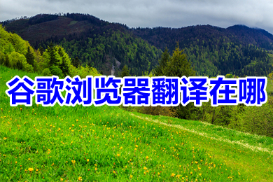 谷歌浏览器翻译在哪 谷歌浏览器翻译网页功能在哪里设置