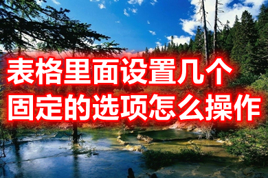 表格里面设置几个固定的选项 excel表格设置几个固定的选项的方法介绍