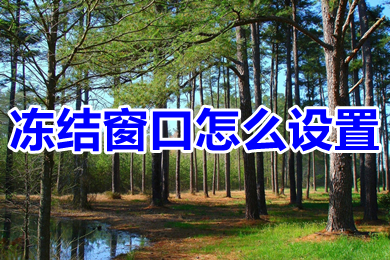 冻结窗口怎么设置 excel表格冻结窗口的设置方法