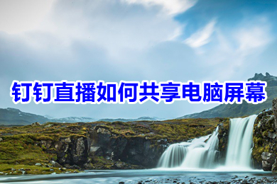 钉钉直播如何共享电脑屏幕 钉钉直播共享电脑屏幕的方法介绍
