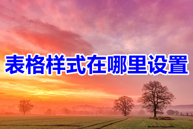 表格样式在哪里设置 excel和wps表格样式的设置方法介绍