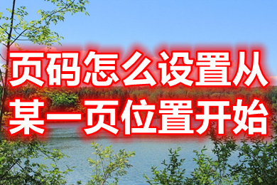 页码怎么设置从某一页位置开始 设置页码从某一页位置开始的方法介绍
