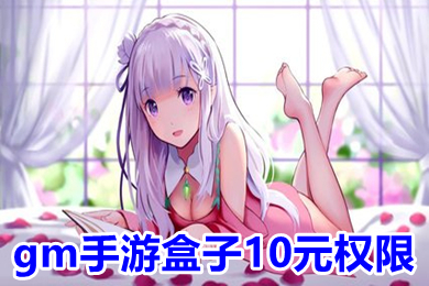 gm手游盒子10元权限 gm手游平台app哪个好