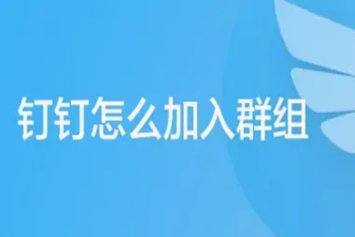 钉钉怎么加入群组 钉钉加入群组的方法
