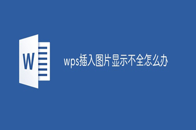 wps图片显示不全怎么办 wps图片显示不全的解决方法