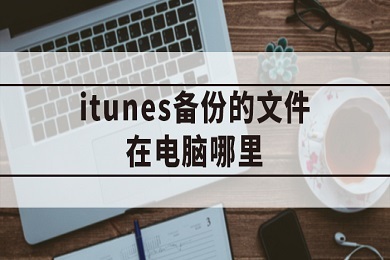 iTunes备份文件在哪 查看电脑中的iTunes备份文件的方法