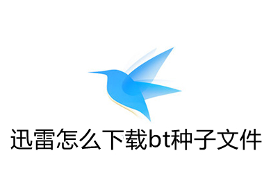 迅雷怎么下载bt种子文件 迅雷下载bt种子文件的方法