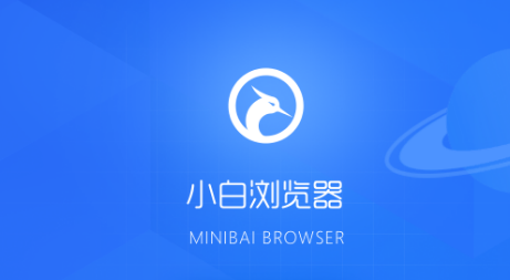 小白浏览器怎么开启皮肤功能