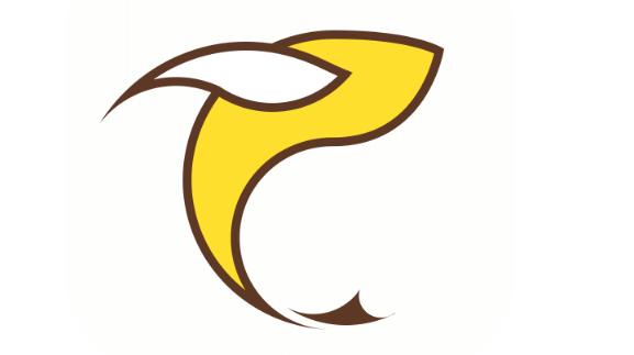 飞鱼浏览器广告拦截怎么设置