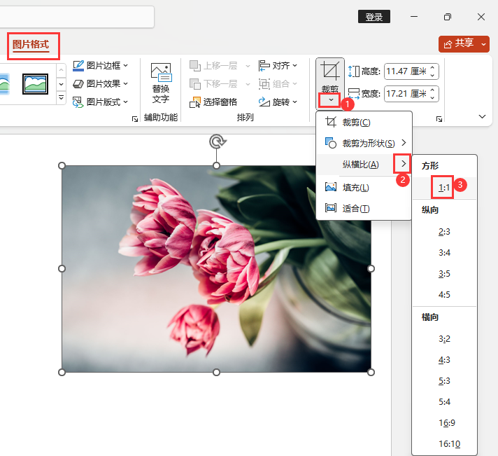 PPT图片裁剪后怎么压缩图片