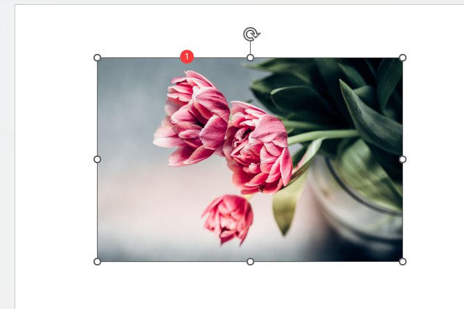 PPT图片如何对齐页面的左边