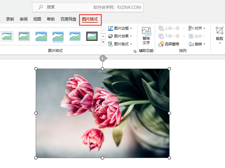 PPT图片如何裁剪成正方1：1效果