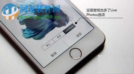 live photo怎么用？将自己录制的视频设置为live photo动态锁屏的方法