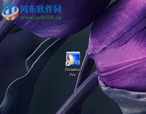 dictation的使用说明