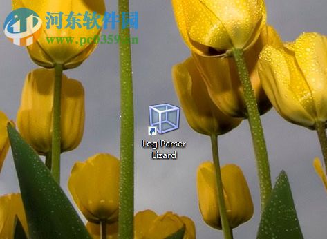 Log Parser Lizard 6安装激活教程