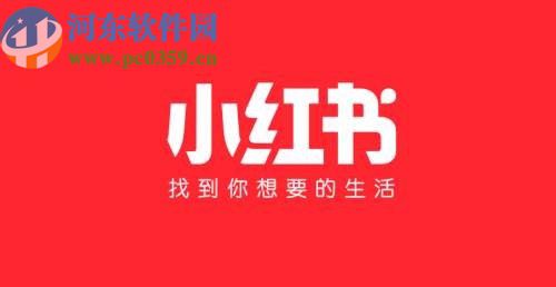 小红书APP清理应用缓存的方法步骤