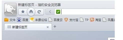 猎豹安全浏览器怎么查看历史记录？查看历史记录方法全览