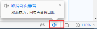 2345浏览器视频没有声音怎么解决？2345浏览器视频没有声音解决方法说明