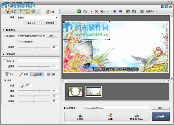 AVS Image Converter给图片添加水印的方法