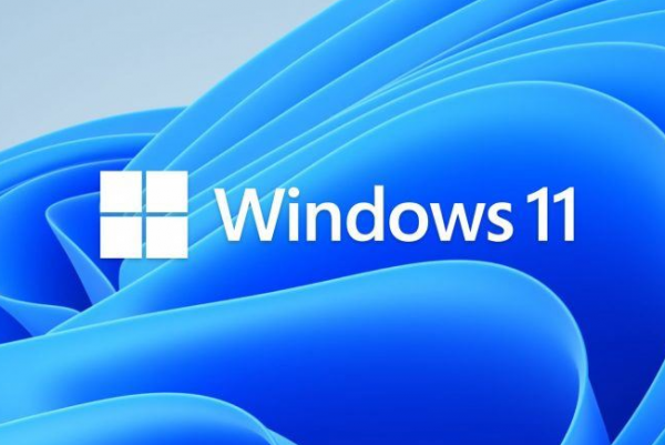 Win11错误代码为0x80070490怎么解决