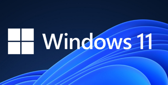 Win11如何打开Direct3D加速