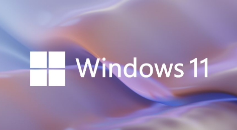 为什么win11分辨率和显示器不一样