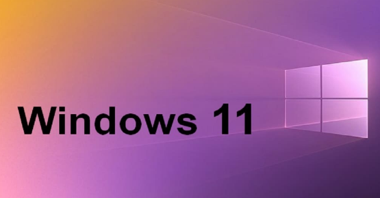 为什么win11语音输入用不了