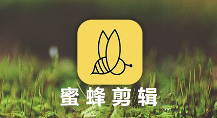 蜜蜂剪辑怎么缩放画面大小