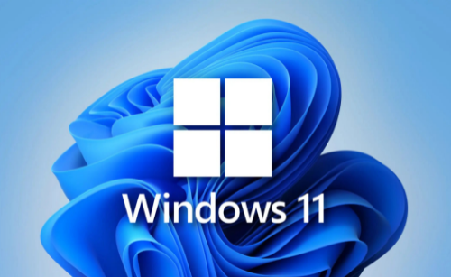 win11如何设置白名单