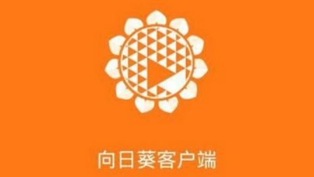 向日葵远程控制如何修改密码