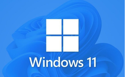 为什么win11屏幕亮度自动变暗